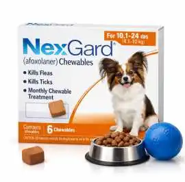 Keep Your Dog Flea-Free with Nexgard Chewables – T, Accord