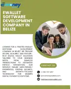 Reliable Ewallet Software Development Company in B, London