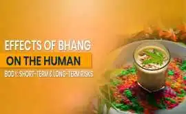 Effects of Bhang | Know the Health Impact, Delhi