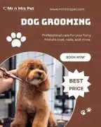 Pet Grooming Service at Home, Amritsar