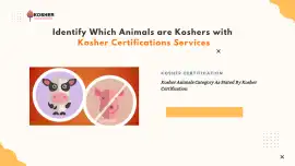 A Complete Guide to Kosher Certification, Agra