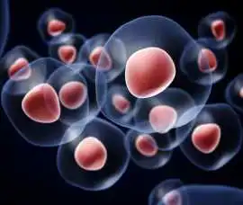 Benefits of Advanced Exosomes Hair Treatment Perth, Subiaco
