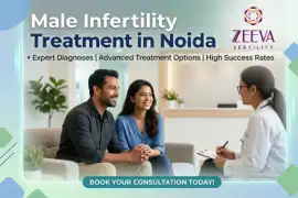 Male Infertility Treatment in Noida, Noida