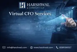 Virtual CFO Services to Improve Profitability, San Diego