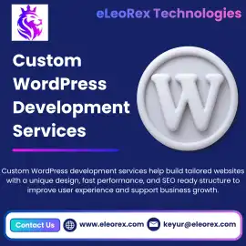 Best Custom WordPress Development Services , San Francisco