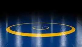 Buy Best Price Wrestling Mat | Gravolite, ₹ 4,000