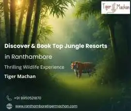Discover & Book Top Jungle Resorts in Ranthambore 