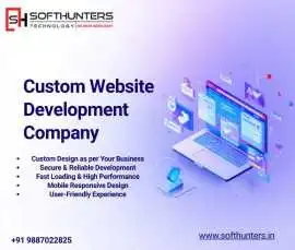Custom Website Development Company, Jaipur
