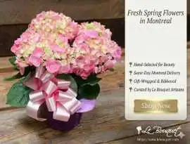 Fresh Spring Flowers in Montreal You Can Order Onl, $ 44