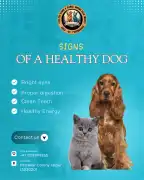 Arora’s PET CLINIC – Best Pet Clinic in Raja Park , Jaipur
