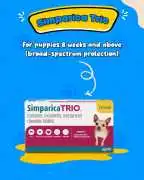 Buy Simparica Trio Online – Flea, Tick & Heartworm, Abbeville