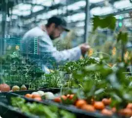ERP Systems for Food Manufacturers , Sydney