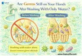 Are Germs Still on Your Hands After Washing, Delhi
