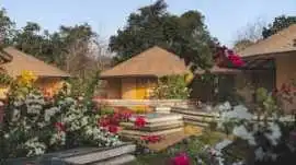 5 Star Resort in Gir – Luxury Wildlife Stay Near G, Ahmedabad