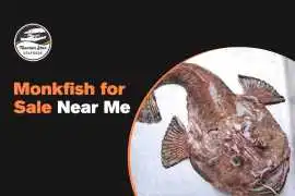 Best Fish Market Near Me | Tasman Star Seafood, Gold Coast
