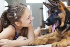 Best Online Dog Training Consultation Made Simple