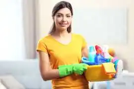 Best Carpet Cleaner Roanoke VA | RC Lawn Care, Roanoke