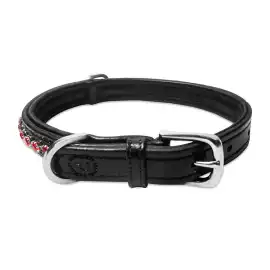 Why Premium Dog Collars Are Worth the Investment f, $ 68