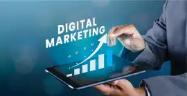 Digital Marketing Company USA – Apex Info Serve, New York