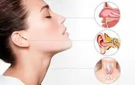 Evara Hospital | Best ENT Doctor in Gandhinagar, Gandhinagar