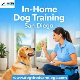 Dog Tired’s In-Home Dog Training San Diego, San Diego