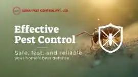 Trusted Pest Control Services in Palam Delhi, New Delhi