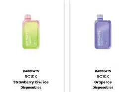 RabBeats disposable vapes in the Canadian , Deseronto