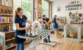 Pet Grooming Service at Home, Bhopal