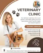 The Pet Store & Clinic – Best Veterinary Clinic , Jaipur