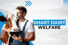 Cattle Care | The Leading Cow Software for Smarter, Marina del Rey