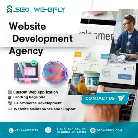 Website Development Agencies | SEO Webfly Experts , Noida