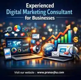 Digital Marketing Consultant for Businesses, Noida