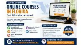 Court-Approved Online Courses in Florida , Tampa