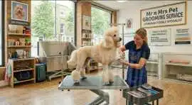 Pet Grooming Service at Home, Mysore