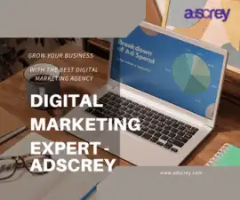 Best Digital Marketing Agency In India By Adscrey, Gurgaon