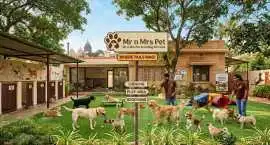 Dog Boarding Services, Bhubaneswar