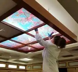 Choose Premium LED Skylights, Northville