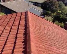 Local roof painting Adelaide, Adelaide