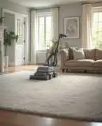 Carpet Cleaning Richmond, London