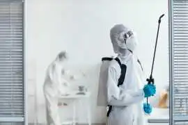 Trusted Pest Removal in Saskatoon , Saskatoon