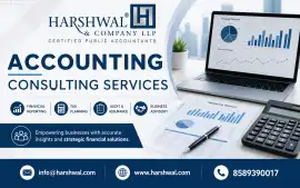 Reliable Accounting Consulting Services for Compan, San Diego