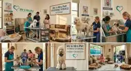 Pet Grooming Service at Home, Bhubaneswar