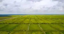 Mahindra Green Estates Mahindra City Plot Projects, Chennai