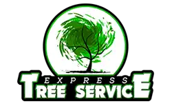 Express Tree Service, Baltimore