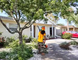 Morris Tree Service, Holiday