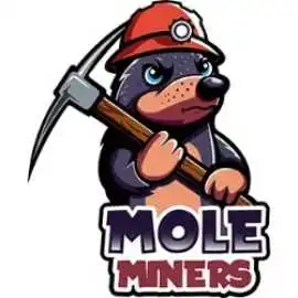 Mole Miners of Evansville, Evansville