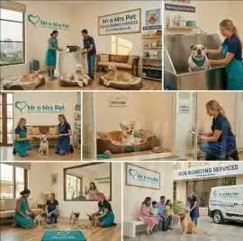 Dog Boarding Services, Faridabad