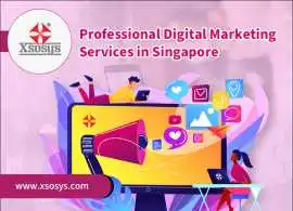 Professional Digital Marketing Services Singapore, Bukit Timah