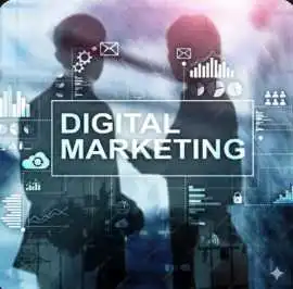Expert Digital Marketing Consultant Sydney for Sca, Turramurra