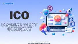 Complete ICO Development Services with Experts, Madurai